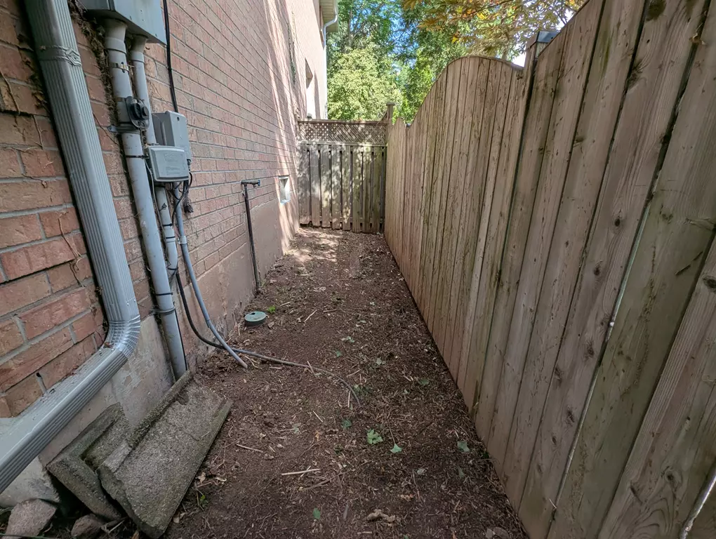 Invasive English Ivy Removal